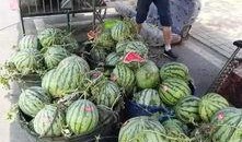 韩城吃瓜爆料最新事件,最新事件揭秘，真相令人震惊！